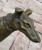 Bronze Greyhound Statue