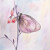 Butterfly Outdoor Rug
