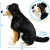 Bernese Mountain Dog Plush Toy - Large