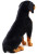 Rottweiler Plush Toy - Large