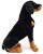 Rottweiler Plush Toy - Large