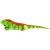 Green & Red Iguana Plush Toy