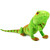 Green & Red Iguana Plush Toy