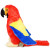 Parrot Plush Toy