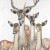 Abstract Deer Family Shower Curtain