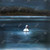 Swan Shower Curtain