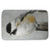 Perched Chickadee Bath Mat