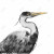 Monochrome Heron Bath Mat