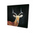 Antelope Canvas Wall Art