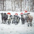 Winter Moo-ry Christmas Fine Art Print