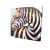 Colorful Spotted Zebra Canvas Art Print