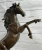 Horse Bronze Sculpture