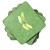 Dragonfly on Fern Coaster Set