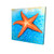 Starfish Canvas Art