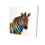 Rainbow Zebra Fine Art Print