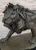 Lion Bronze Sculpture