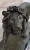 Lion Bronze Sculpture