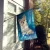 Chihuahua House Flag