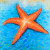 Orange Starfish on Blue Water Throw Pillow