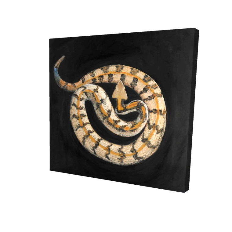 Rattlesnake on Black Fine Art Print