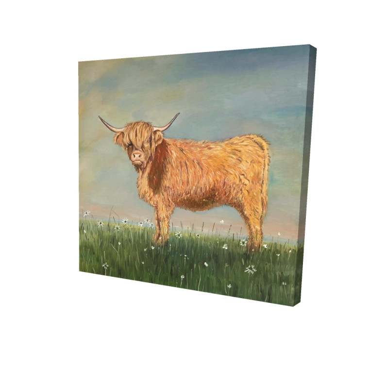 Highland Cow in Daisy Field Fine Art Print