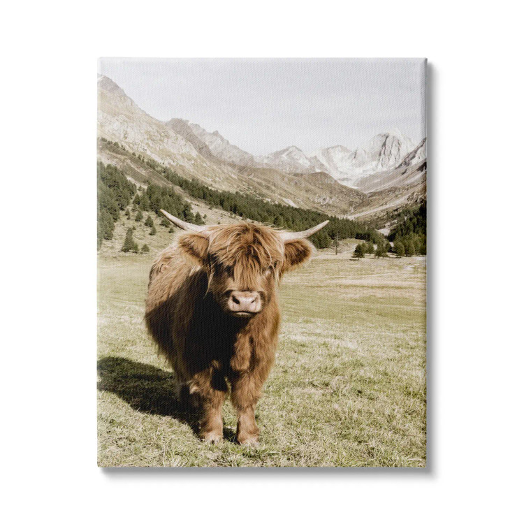 Mountainside Highland Cow Canvas Art Print