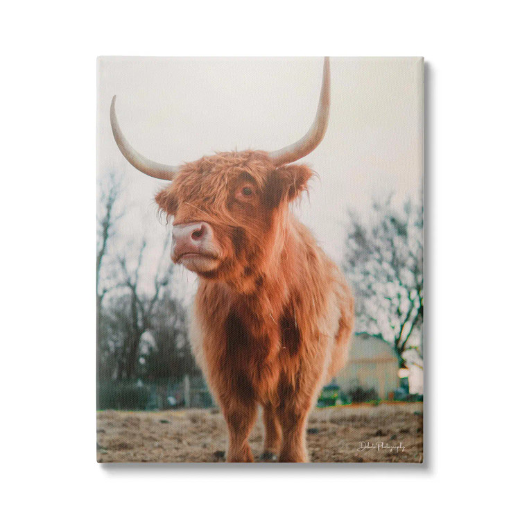 Morning Light Highland Cow Canvas Art