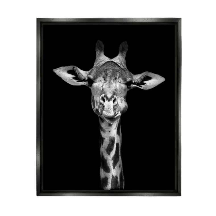 Giraffe on Black - Framed Canvas Art Print