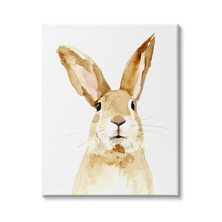 Crooked Ear Rabbit Portrait Canvas Art Print 