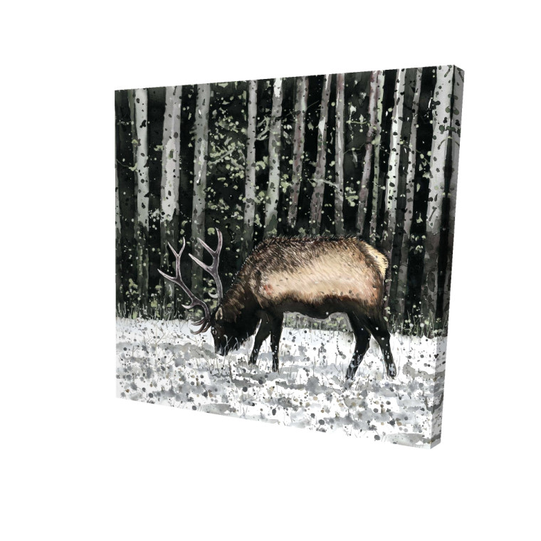 Winter Reindeer Fine Art Print