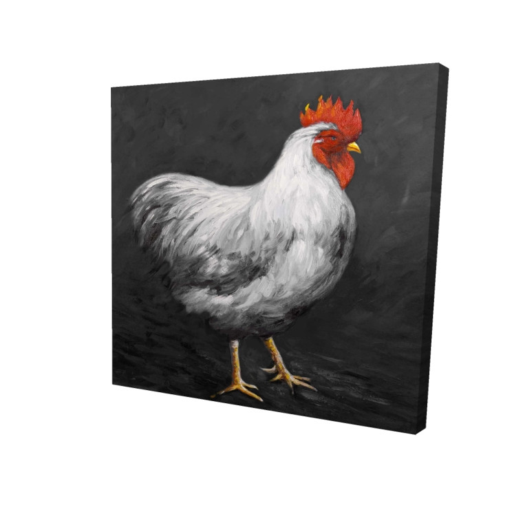 White Hen on Black Fine Art Print