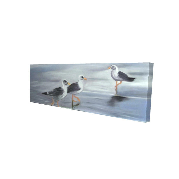 Coastal Seagulls Fine Art Print - Long