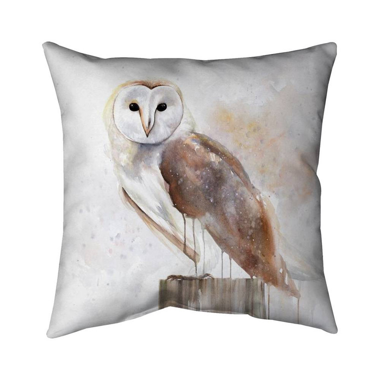 Barn Owl Portrait Throw Pillow