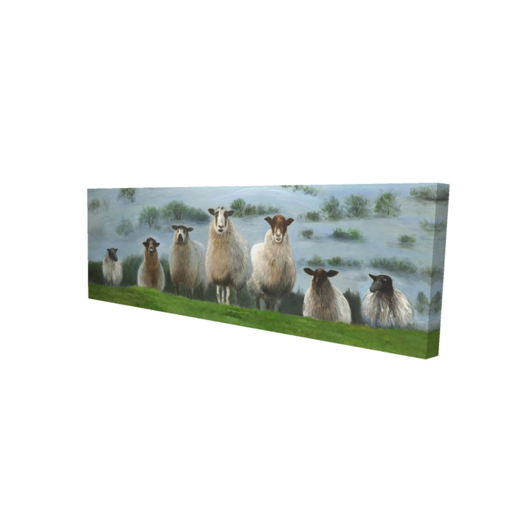 Sheep Family Portrait Fine Art Print