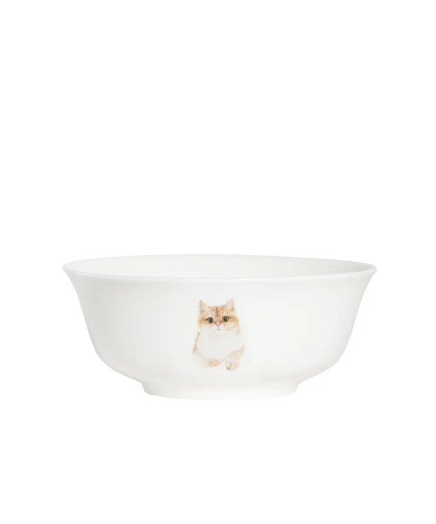 Golden British Shorthair Cat Dinner Bowl