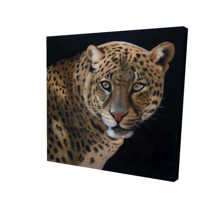 Leopard on Black Fine Art Print
