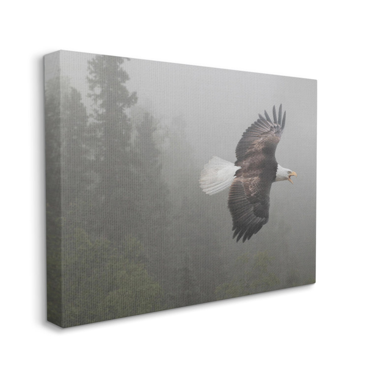 Flying Bald Eagle Canvas Art Print