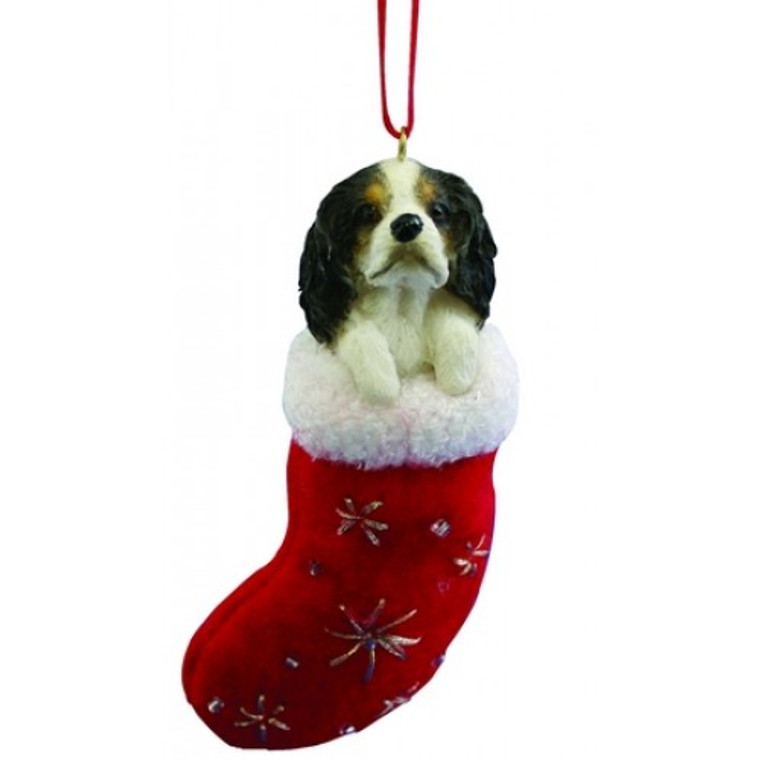 Cavalier King Charles Stocking Christmas Ornament - Tri-Color