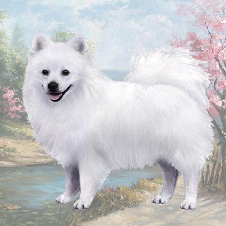 American Eskimo Stone Coaster