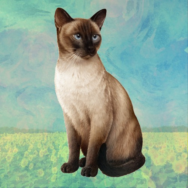 Siamese Cat Coaster - Set of 4