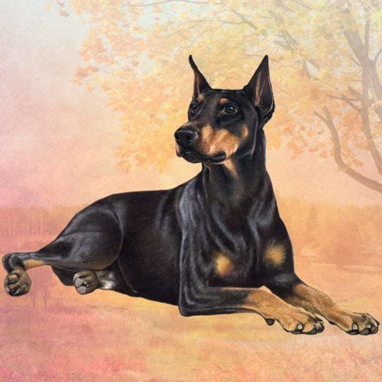 Doberman Pinscher Coaster - Set of 4