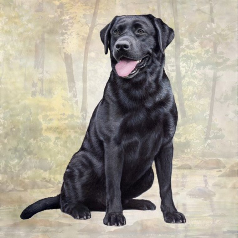 Labrador Retriever, Black, Sitting Stone Coaster