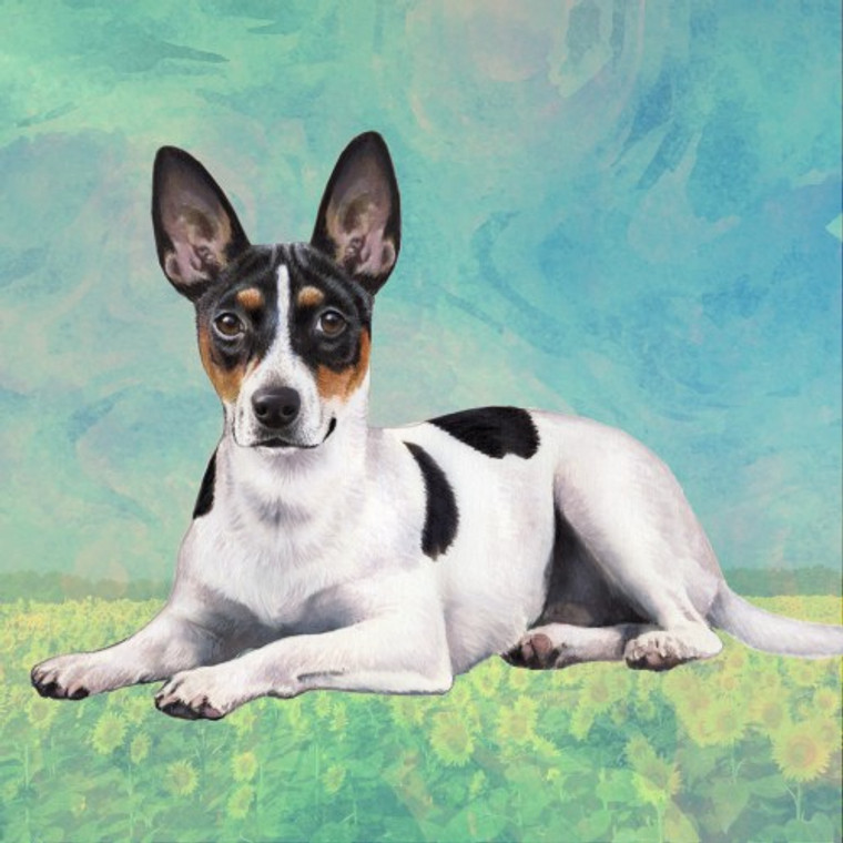 Rat Terrier Coaster - Set of 4