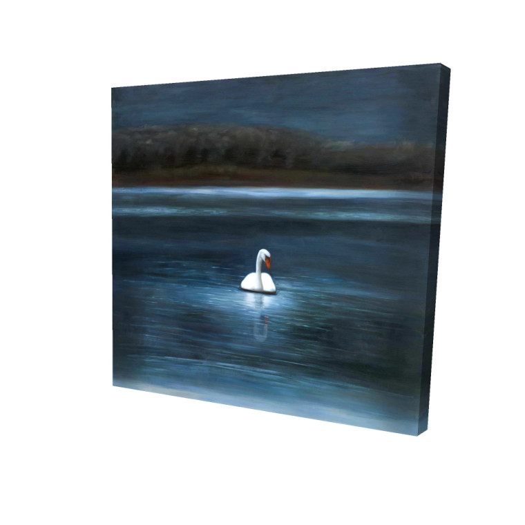 Swimming Swan Fine Art Print