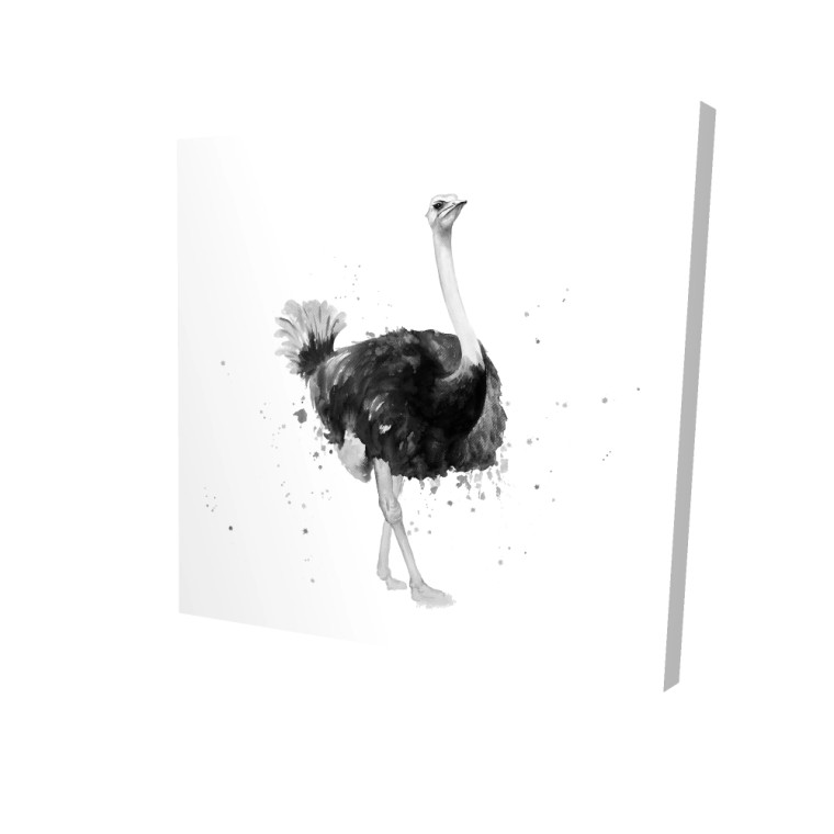 Ostrich Fine Art Print - Right