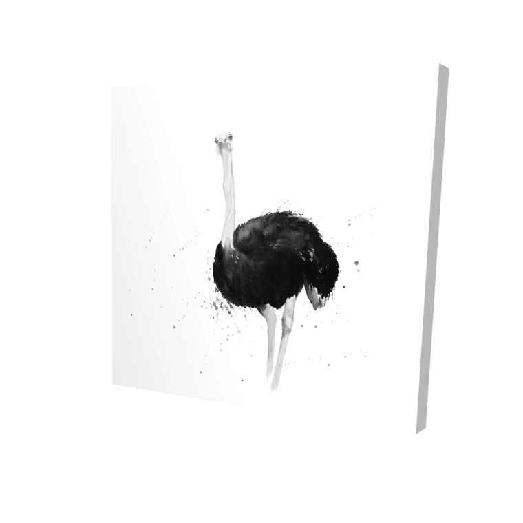 Ostrich Fine Art Print - Left