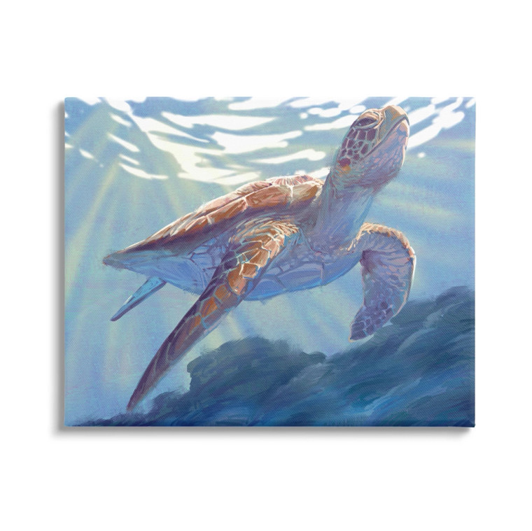 Sunlight Sea Turtle Canvas Art Print