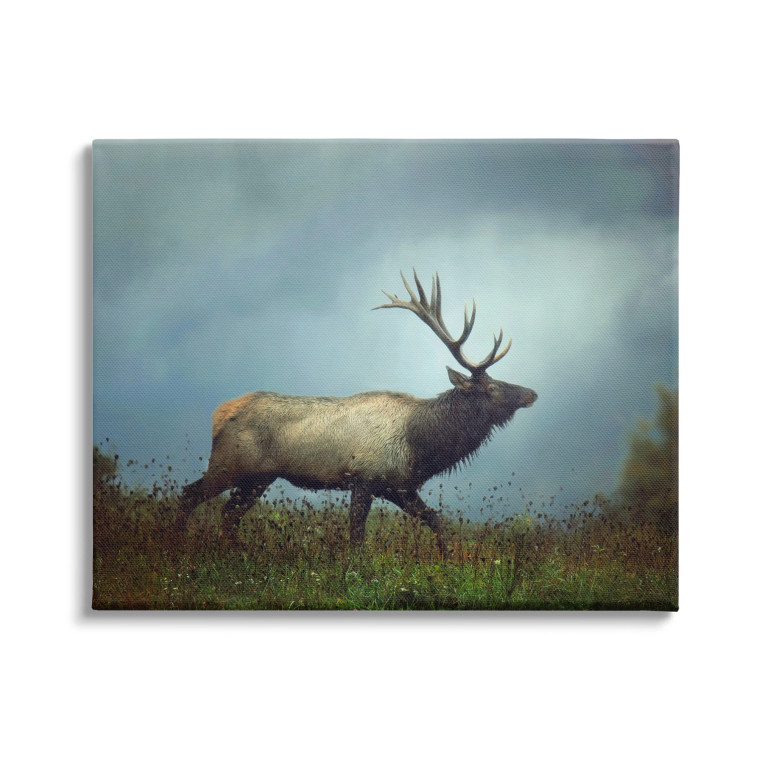 Stormy Sky Elk Canvas Art Print