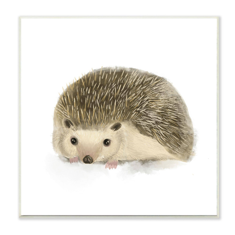 Baby Hedgehog Art Print Plaque