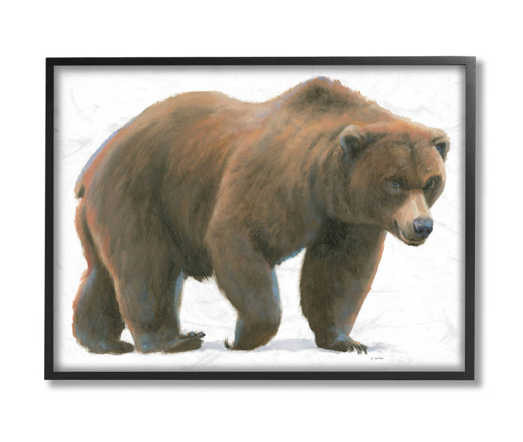 Grizzly Bear Framed Art Print